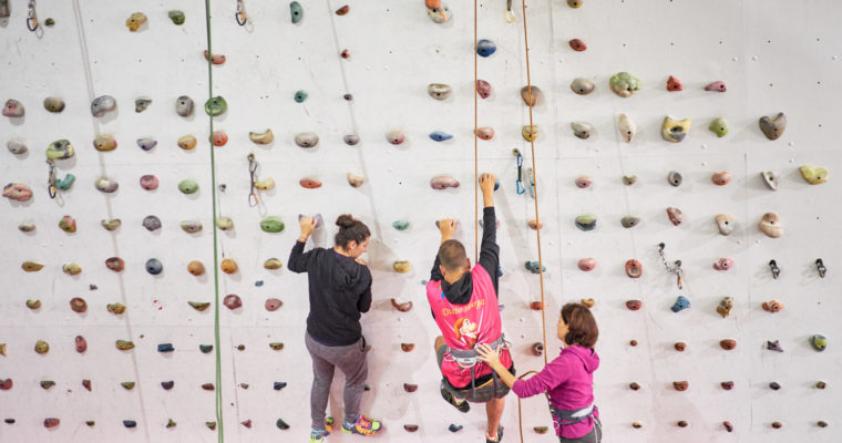 EL RECONOCIMIENTO DE LA SITUACIÓN DE DEPENDENCIA