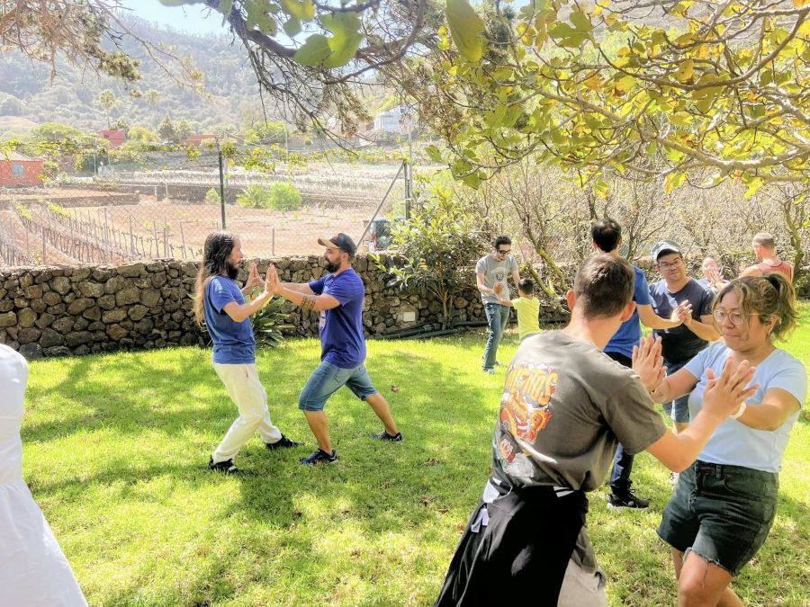 Subvenciones públicas de 2024